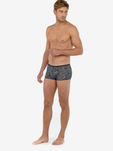 HOM Boxershorts ' Marty Plume ' in Zwart