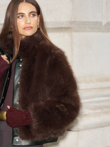 Veste d’hiver Lipsy en marron
