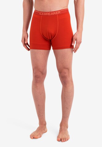 ICEBREAKER Sports underpants 'Anatomica' in Red: front