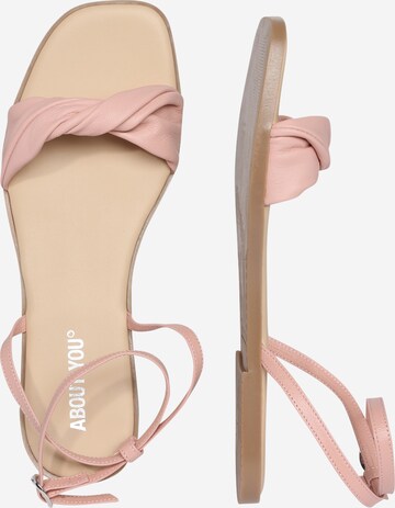 ABOUT YOU Strap Sandals 'Alicia' in Pink