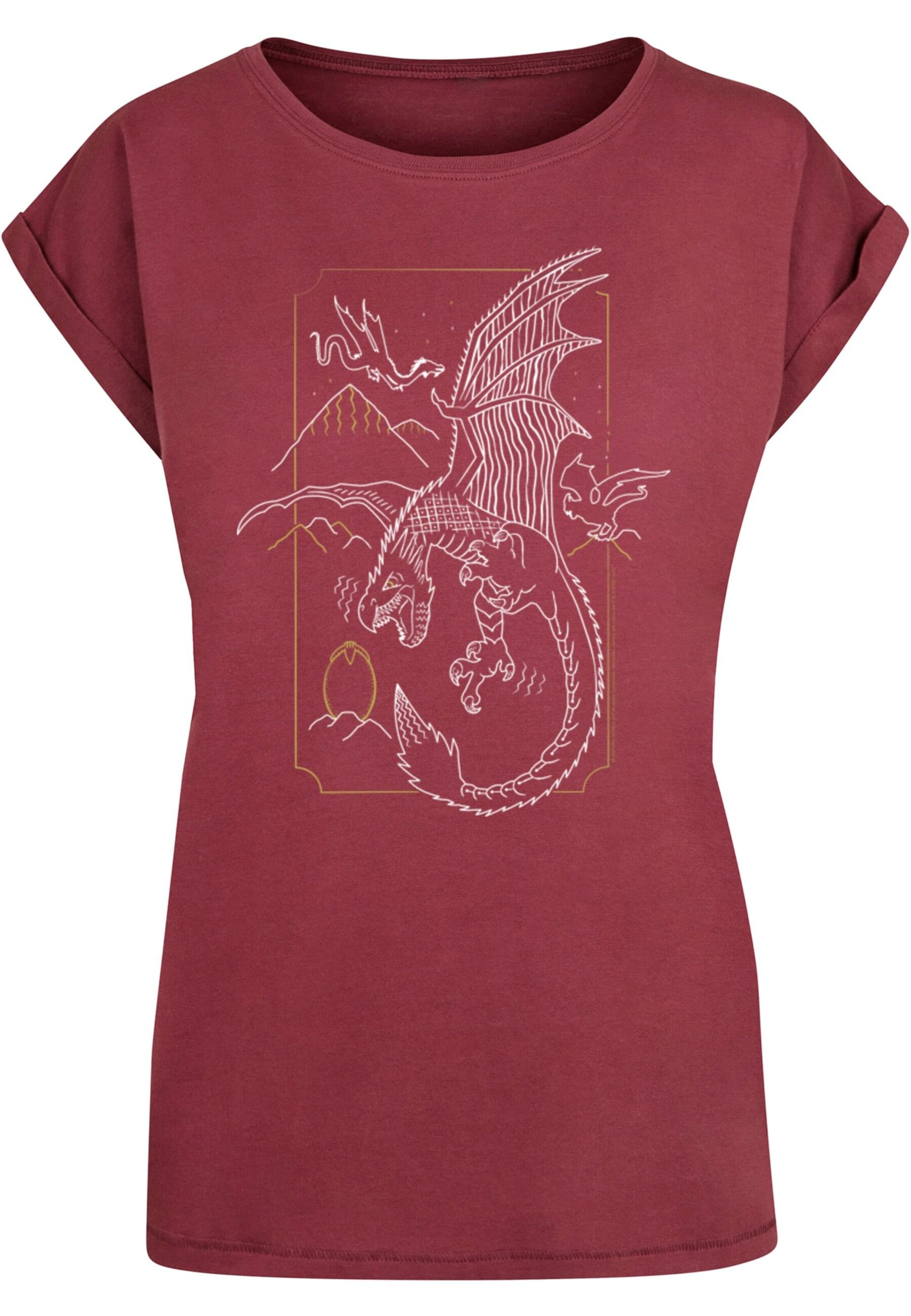 ABSOLUTE CULT Shirt 'Harry Potter - Dragon' in Rood: voorkant