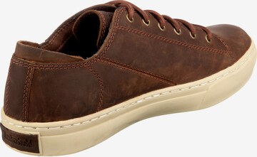 TIMBERLAND Sneakers laag in Bruin