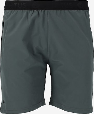 Virtus Regular Workout Pants 'BLAG V2' in Green: front