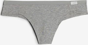 INTIMISSIMI Thong in Grey: front