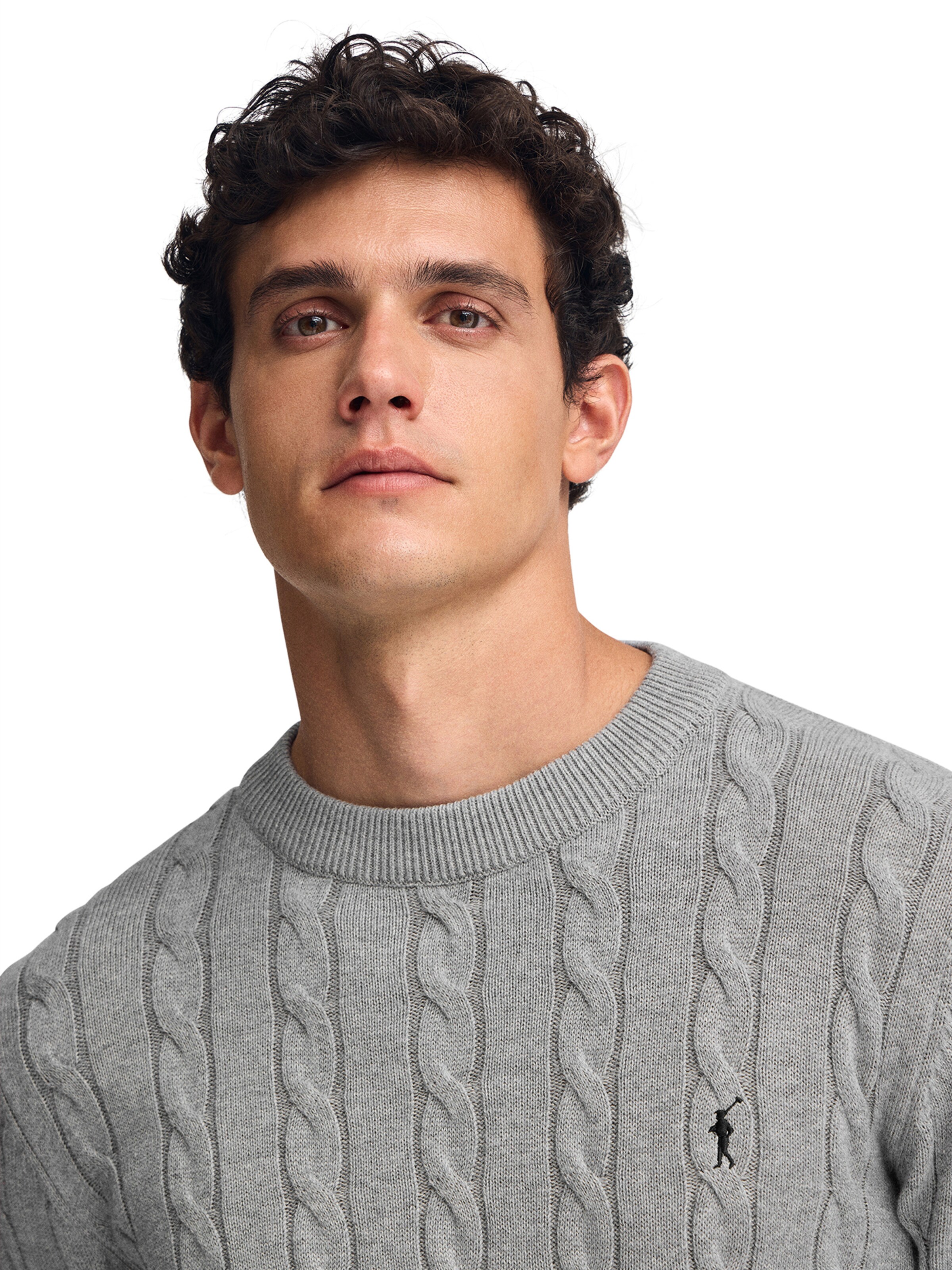 Polo Club Pullover in Grau