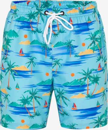 Jimmy Sanders Board Shorts in Blue: front