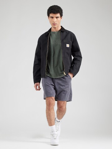 pilka Champion Authentic Athletic Apparel Standartinis Kelnės