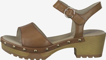 TAMARIS Sandals in Brown