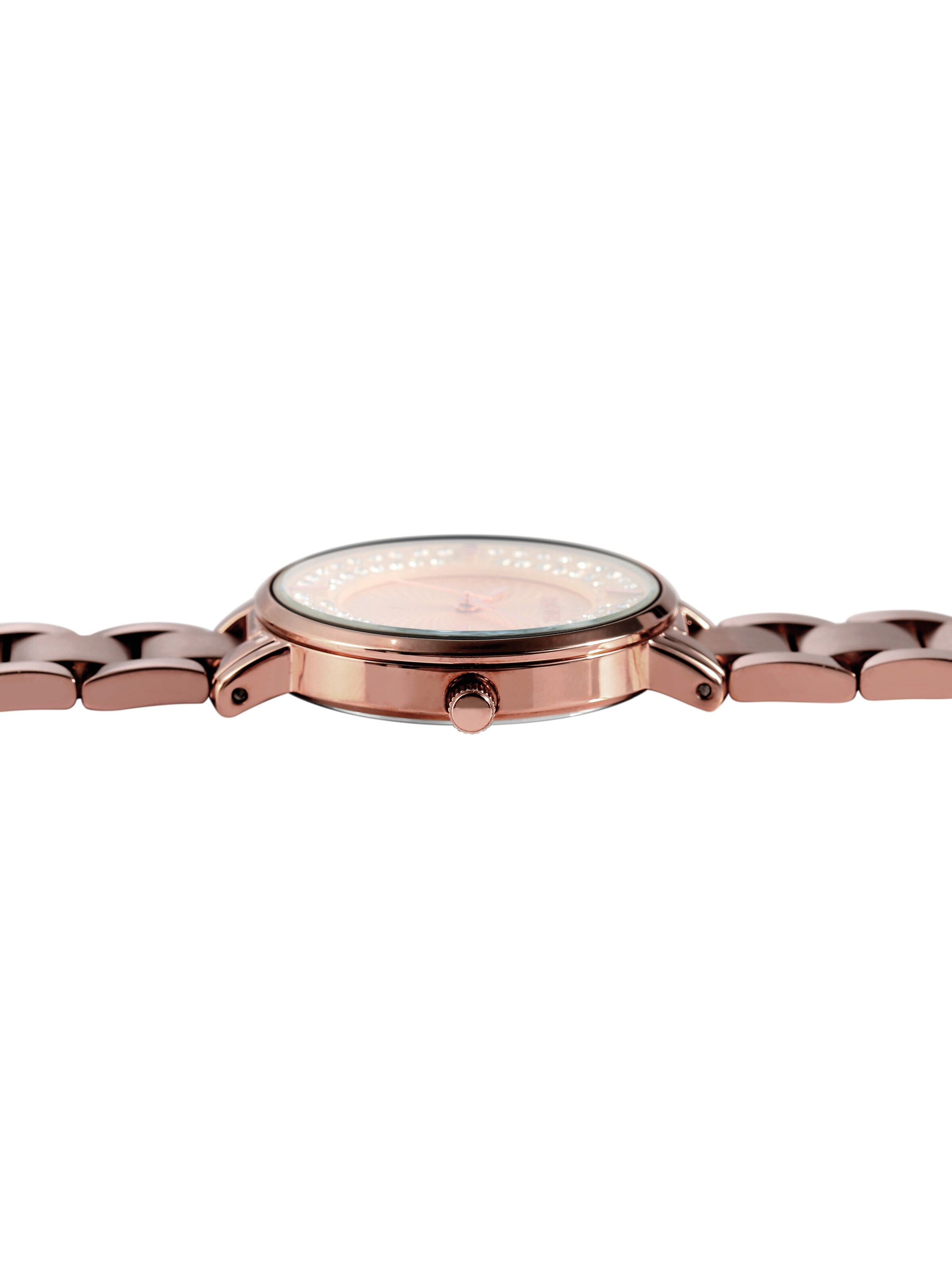 Raptor Analog Watch 'Nahida, 3 ATM' in Brown