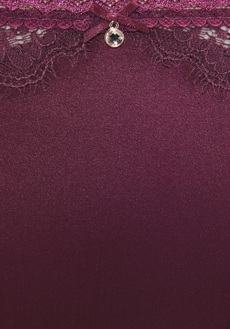 LASCANA Slip in Lila