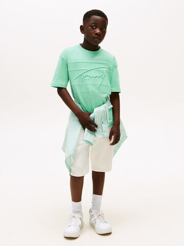 TOMMY HILFIGER Shirt in Groen
