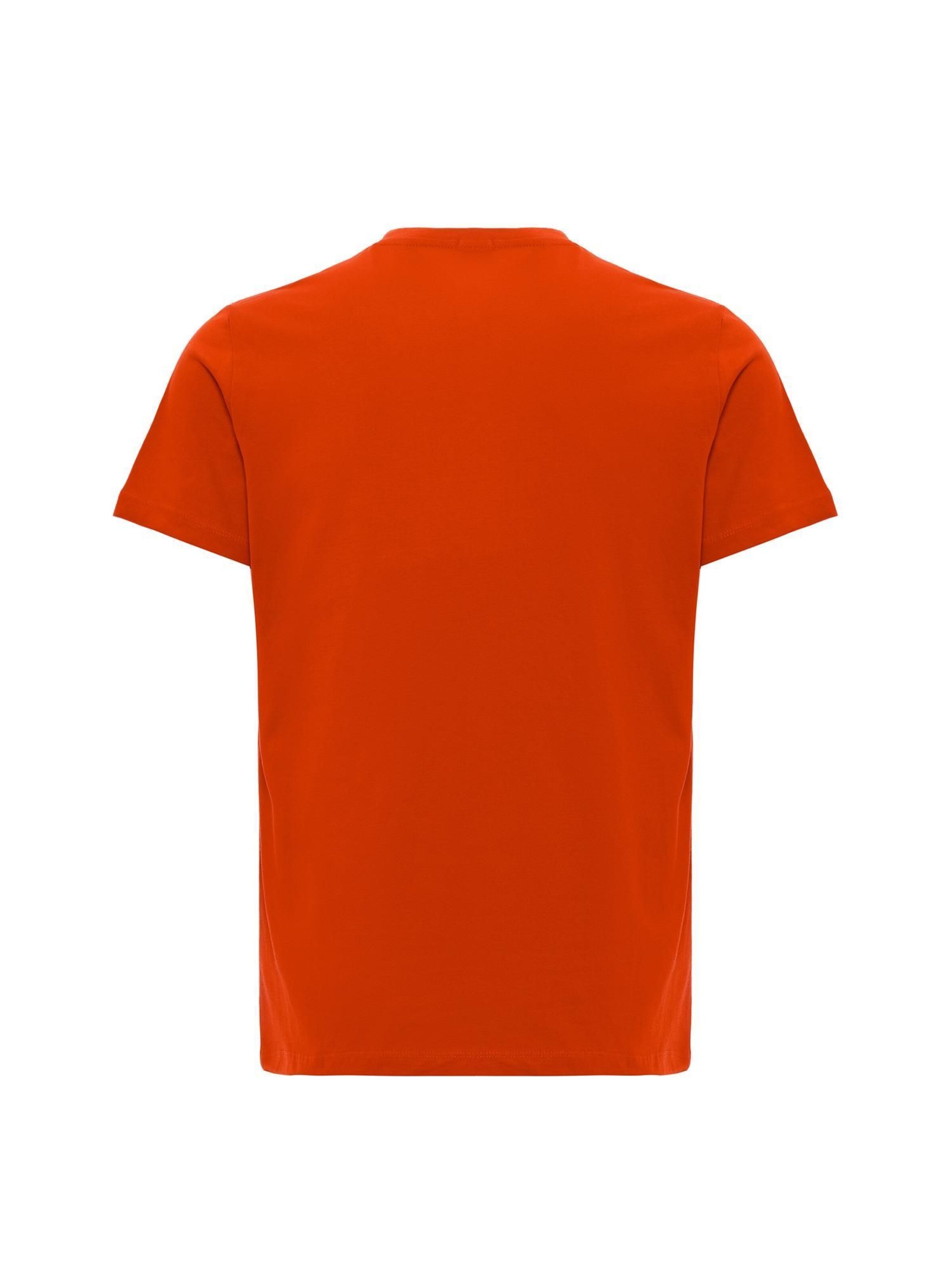 Cortera Μπλουζάκι 'Mael' σε ανάμεικτα χρώματα