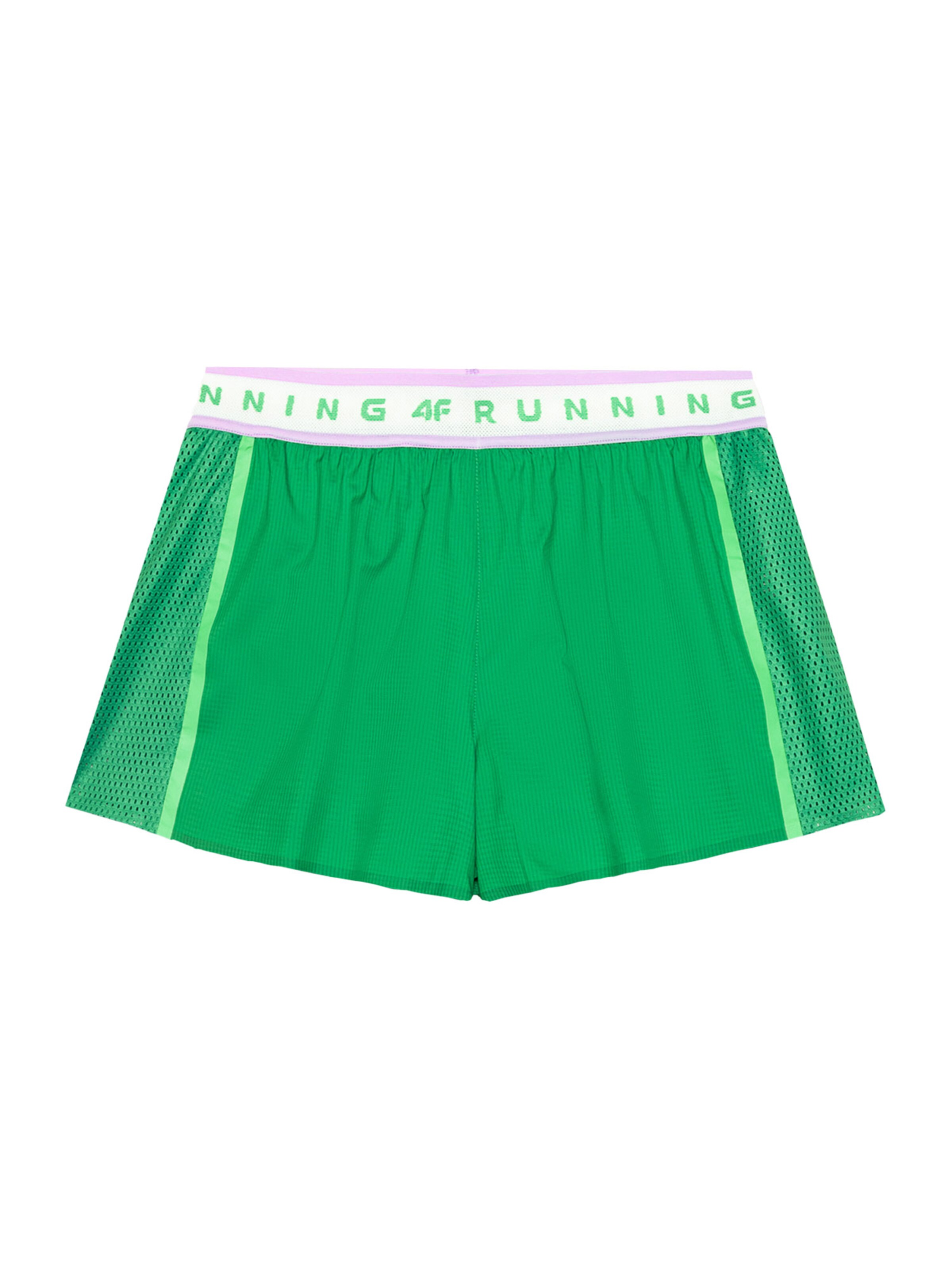 4F Спортивные штаны в Зеленый: спереди