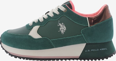 U.S. POLO ASSN. Sneaker in bronze / dunkelgrün / rosa / weiß, Produktansicht