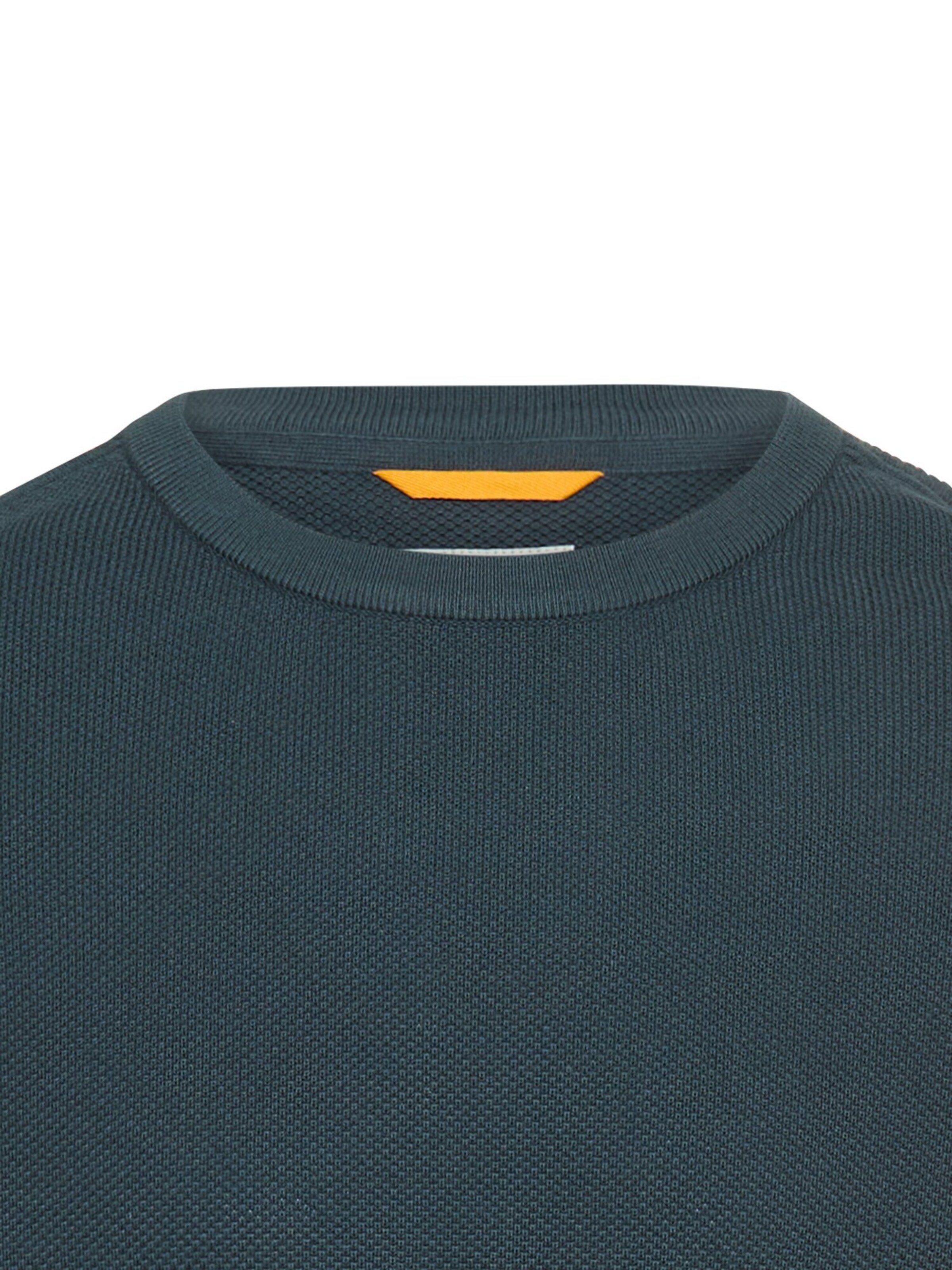 CAMEL ACTIVE Pullover in Grün