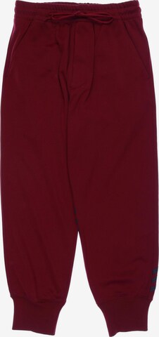 Y-3 Pants in XS in Red: front