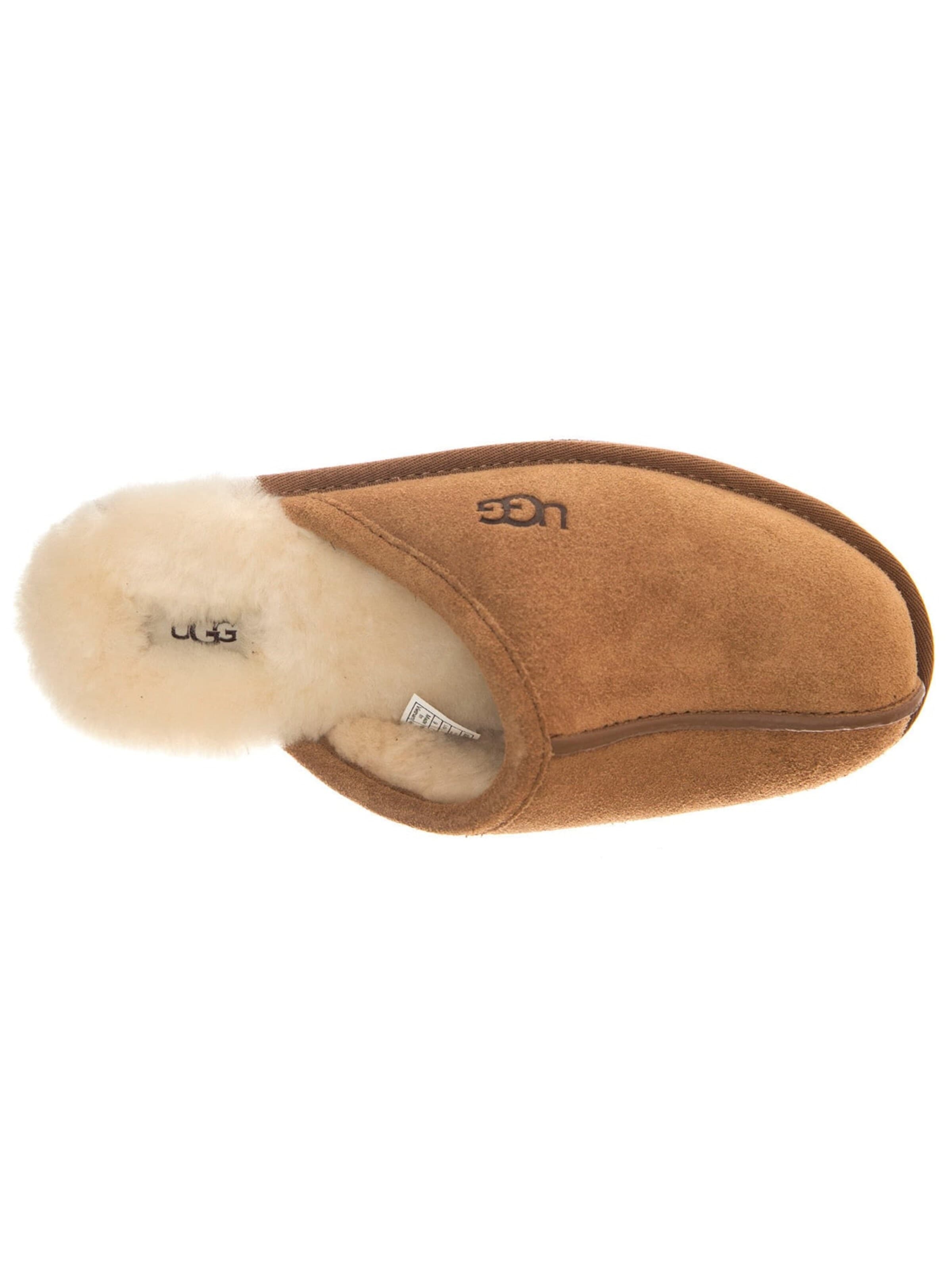 UGG Hausschuh 'SCUFF CHESTNUT'‌‌‌ in Braun