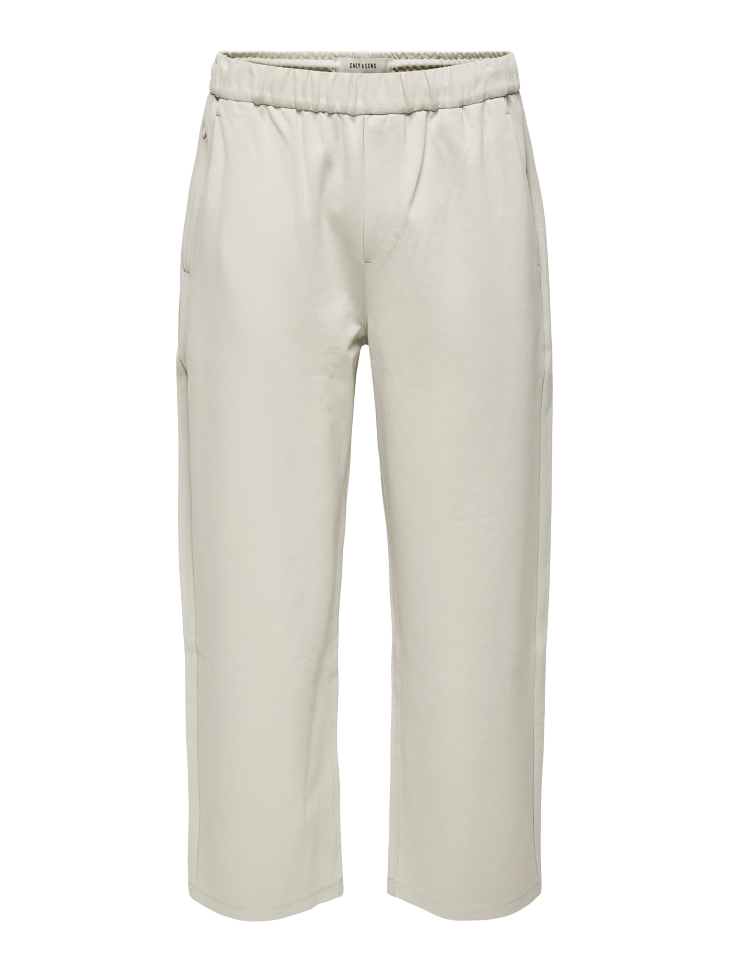 Only & Sons Loosefit Hose 'ONSJakes' in Grau: Vorderseite