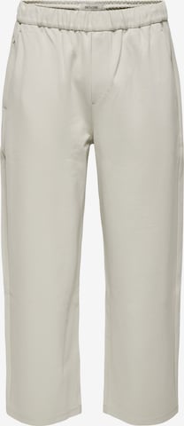 Only & Sons - Pantalón 'ONSJakes' en gris: frente