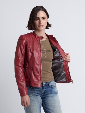 JCC Tussenjas ' 31025193 ' in Rood