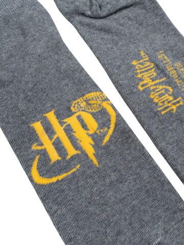 Harry Potter Socks 'Hogwarts' in Grey