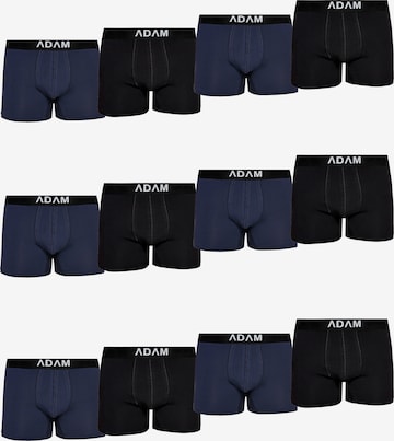 Adam Boxer shorts '12er Pack' in Blue: front