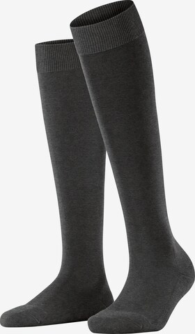 FALKE Kniestrümpfe 'ClimaWool' in Grau: Vorderseite