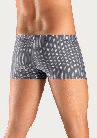 LE JOGGER Boxer shorts in Grey