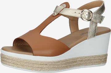 Nero Giardini Sandals in Brown: front