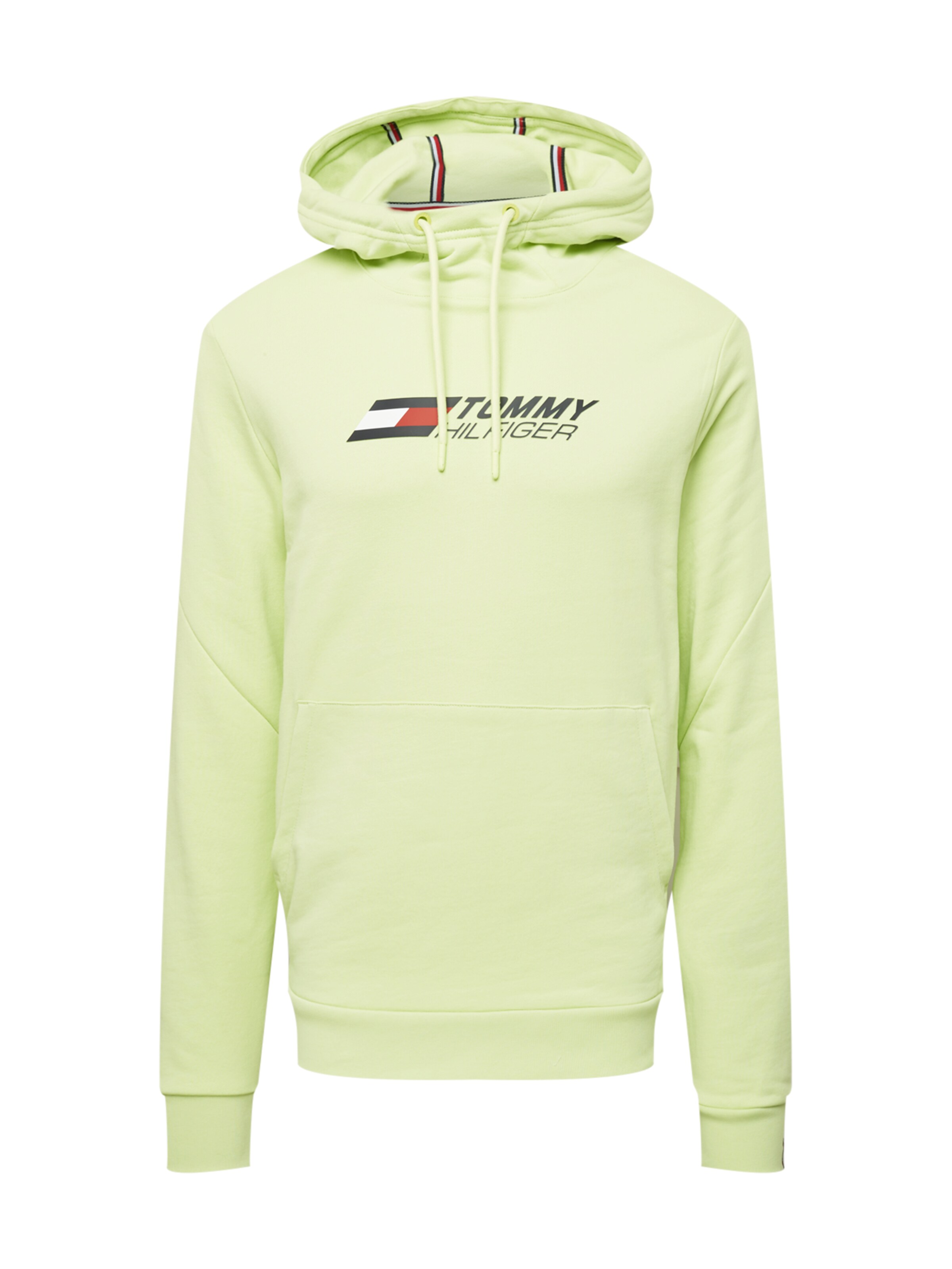 TOMMY HILFIGER Sweatshirt in Dusty Blue 