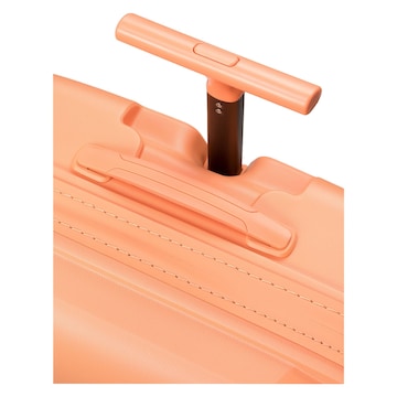 Epic Suitcase set in Orange