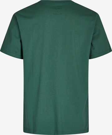 Cleptomanicx Shirt 'Smile Gull' in Green