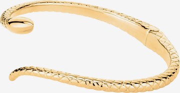 Apple of Eden Armband in Gold