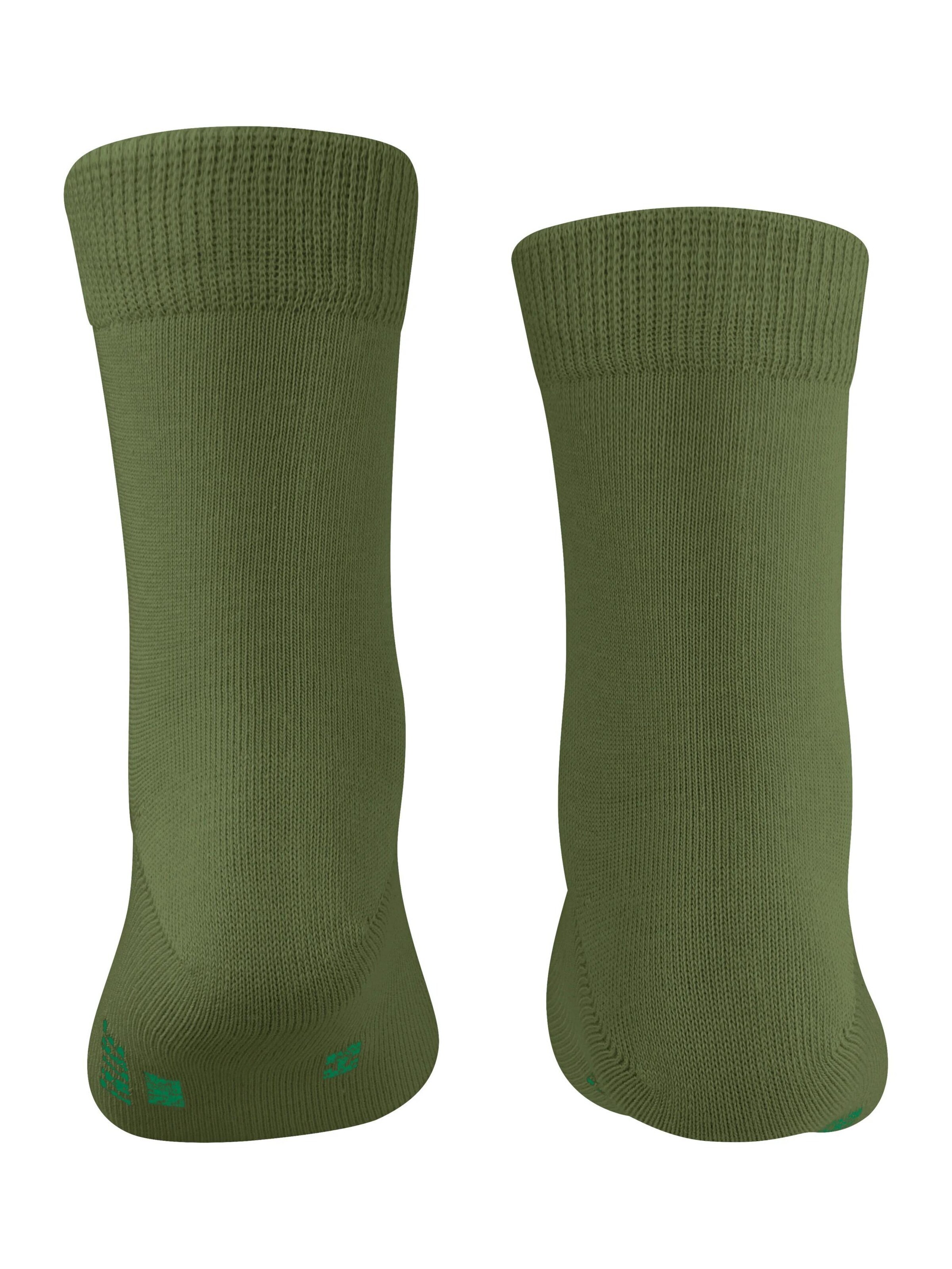 FALKE Socks 'Family' in Green
