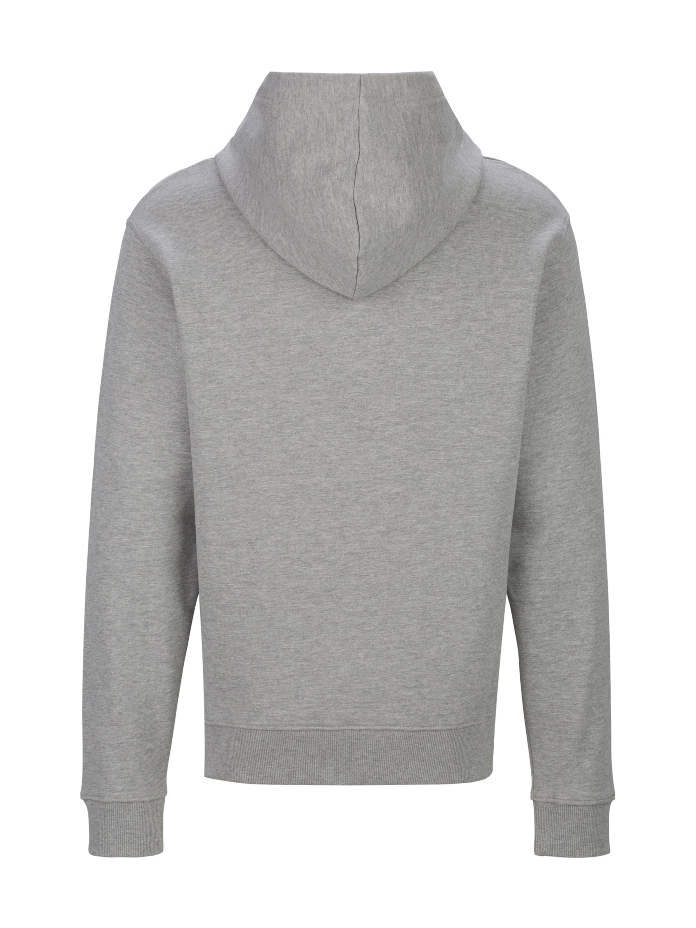 REPLAY Sweatshirt in Grijs
