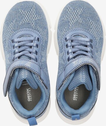 GEOX Sneakers in Blue