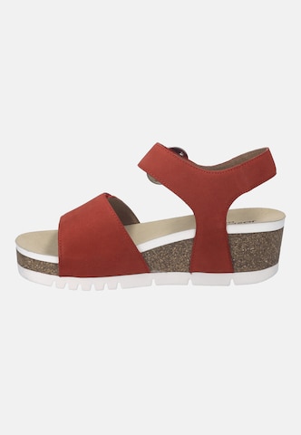 JOSEF SEIBEL Sandaal 'QUINN 16' in Rood