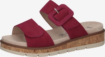 CAPRICE Mules in Purple: front