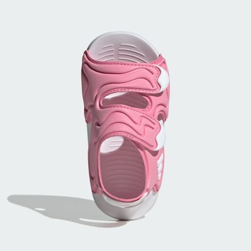 Chaussures ouvertes 'Altaswim 3' ADIDAS SPORTSWEAR en rose