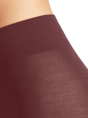FALKE Strumpfhose 'Softmerino'‌‌‌‌‌‌‌‌ in Rot