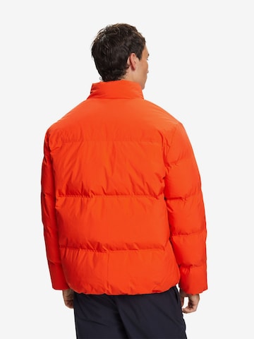 ESPRIT Winterjas in Oranje