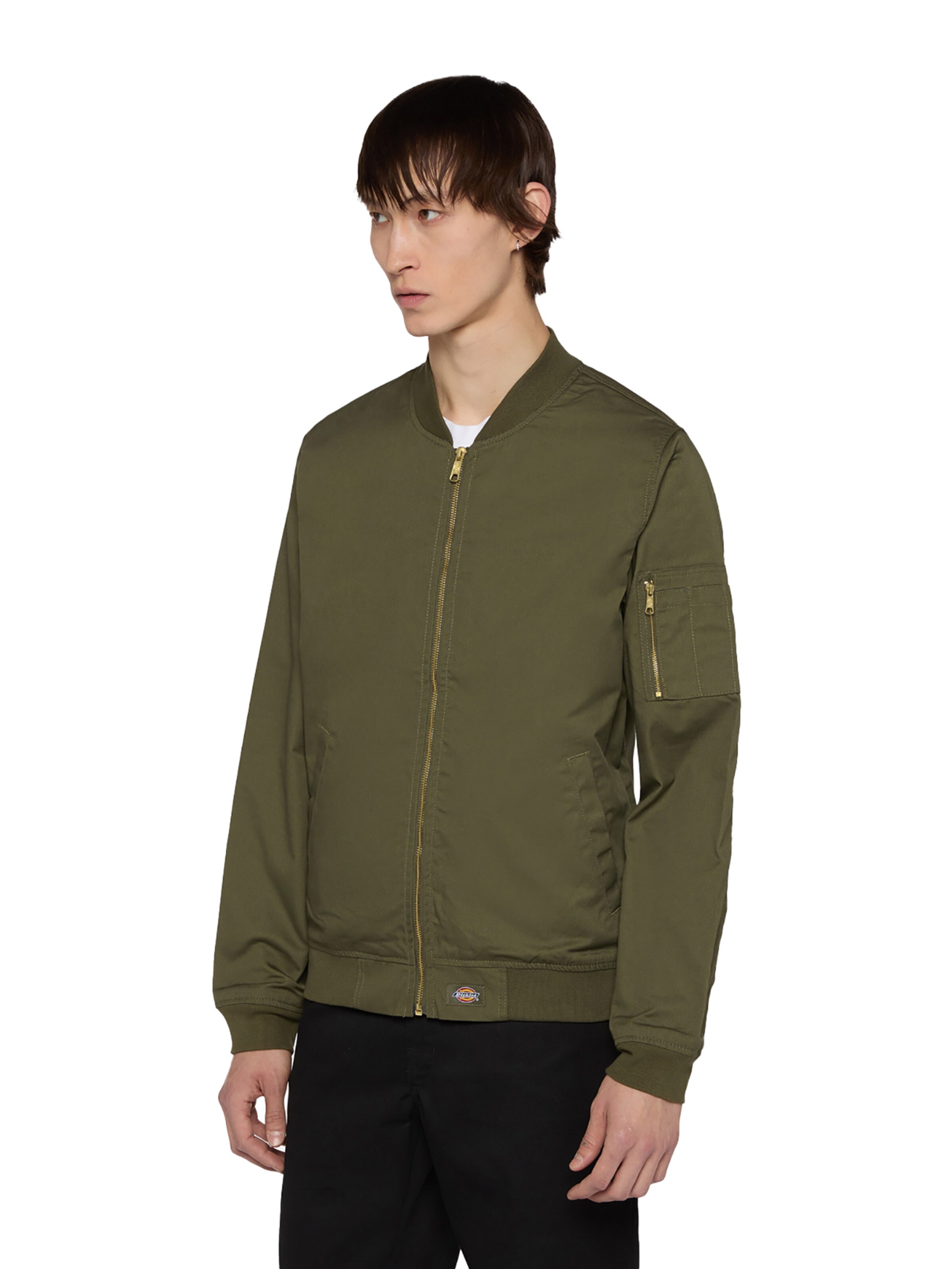 DICKIES Overgangsjakke 'Hughson' i grøn