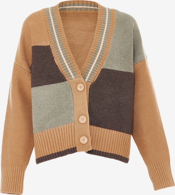 boline Knit Cardigan in Orange: front