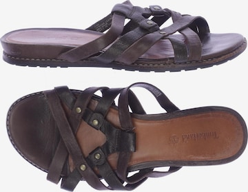TIMBERLAND Sandals & High-Heeled Sandals in 36,5 in Brown: front