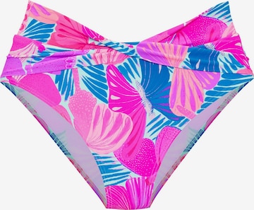 Bas de bikini SUNSEEKER en violet : devant