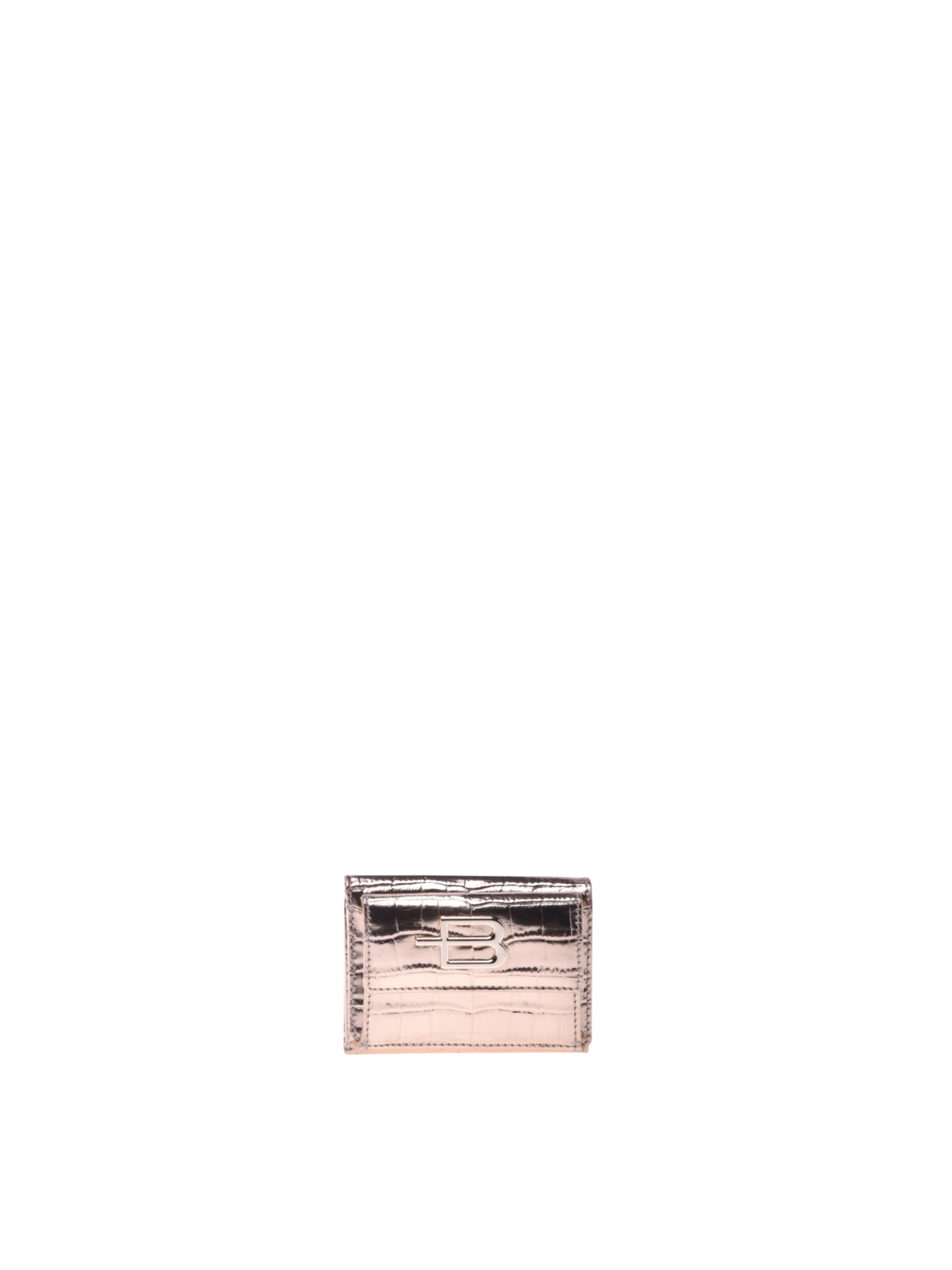 BALDININI Wallet in Silver: front