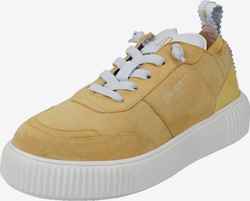 Baskets basses ' OAKLI ' Crickit en jaune : devant