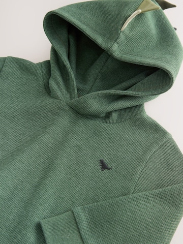 Next Sweatshirt in Green