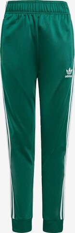 ADIDAS ORIGINALS Tapered Broek 'Adicolor' in Groen: voorkant