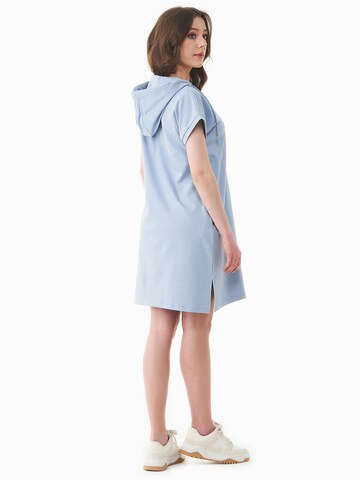 Organication Dress in Blue